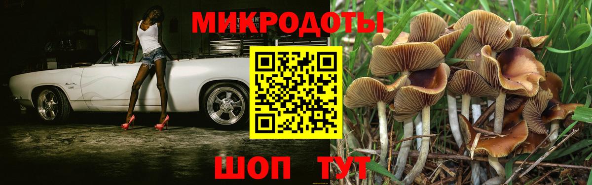 Псилоцибиновые грибы Cubensis  Псилоцибиновые грибы Psilocybine cubensis  Вход с VPN  Сызрань 