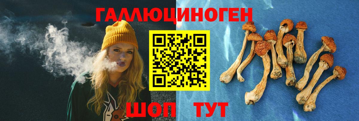 Псилоцибиновые грибы Psilocybine cubensis Сызрань